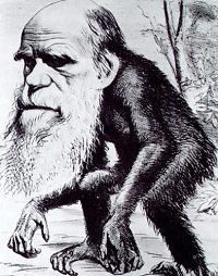 Der Darwin-Affe Charles Darwin in einer Karikatur von 1871. 